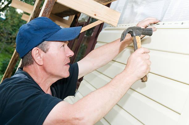 Best Brick Veneer Siding  in Dortches, NC